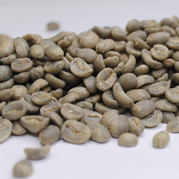 Guatemala Finca Santa Margarita