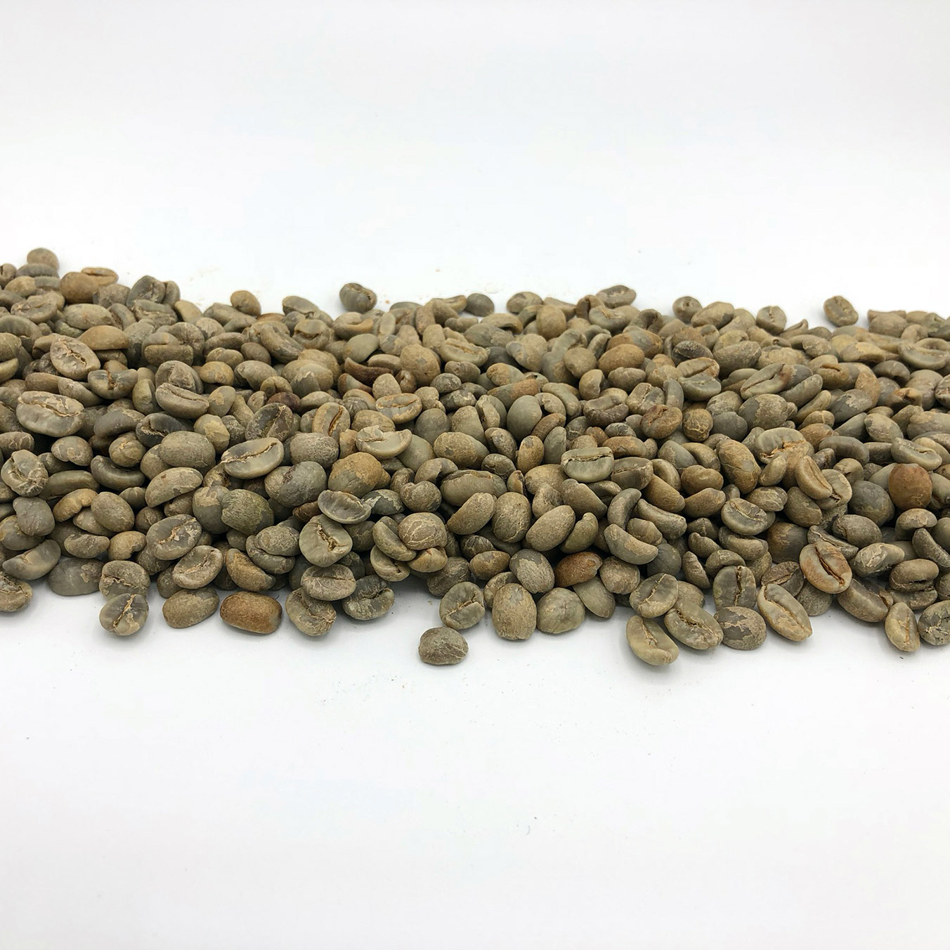 Nicaragua Organic Segovia PRODECOOP - FTO