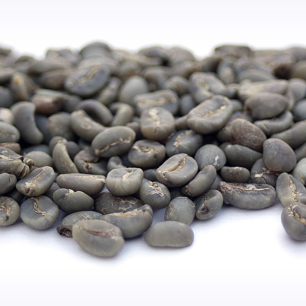 Java Organic Taman Dadar JAVA ORGTA