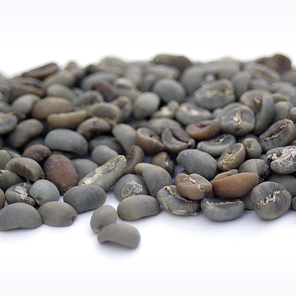 Bali Blue Moon -Organic RFA BaliBeans