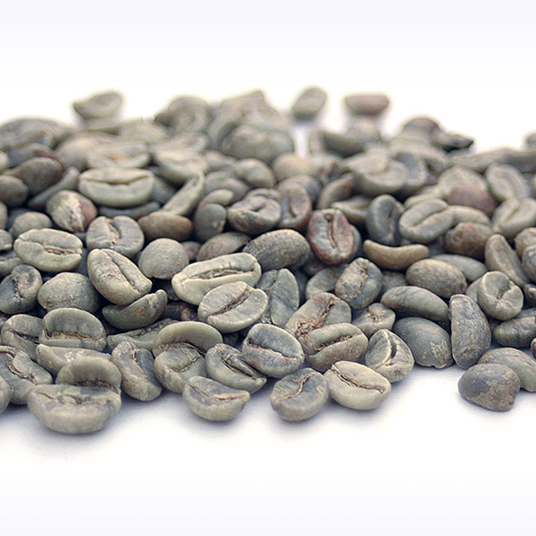 Mexican Organic - Chiapas - FT MEXORGCHIAPAS