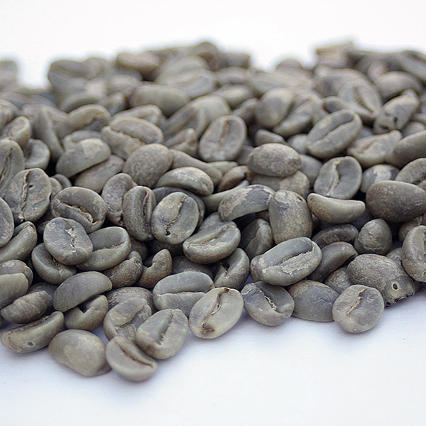 Hawaiian Green Coffee Beans Coffee Bean Corral