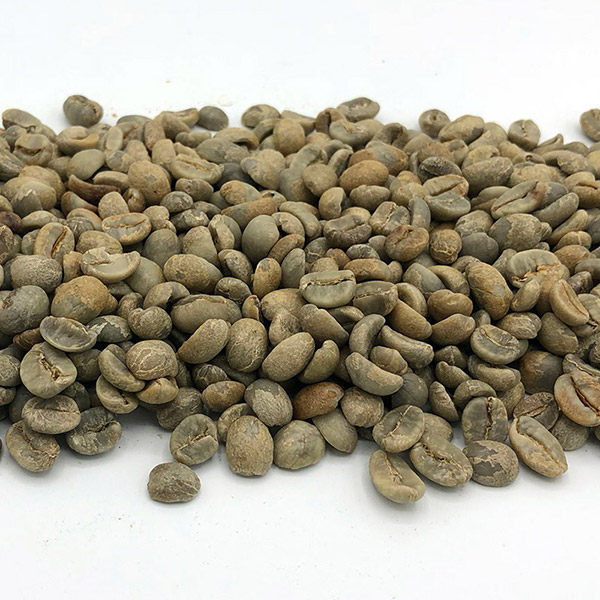 Nicaragua Organic Segovia PRODECOOP - FTO