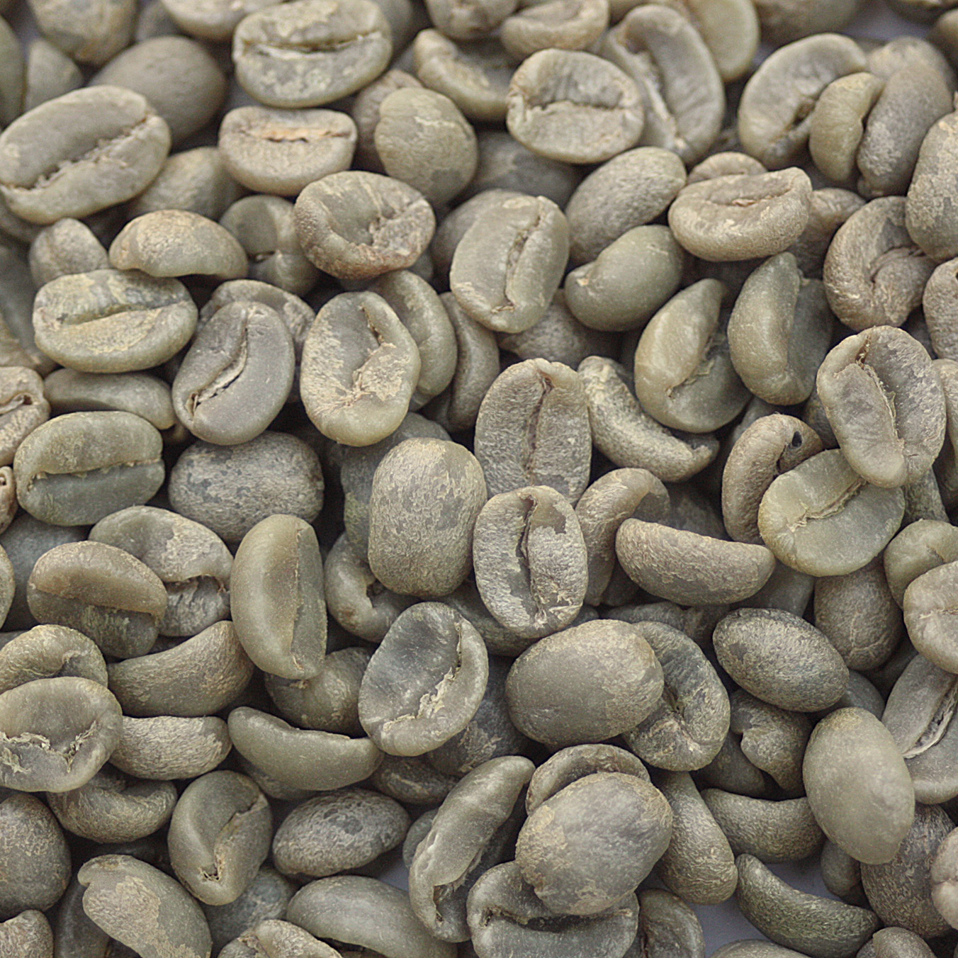 Panama Boquette SHB PANBOQU