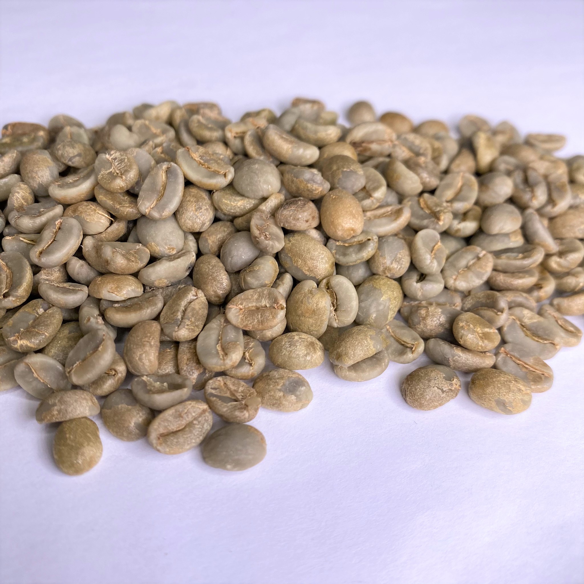 El Salvador Finca La Esperanza SHG