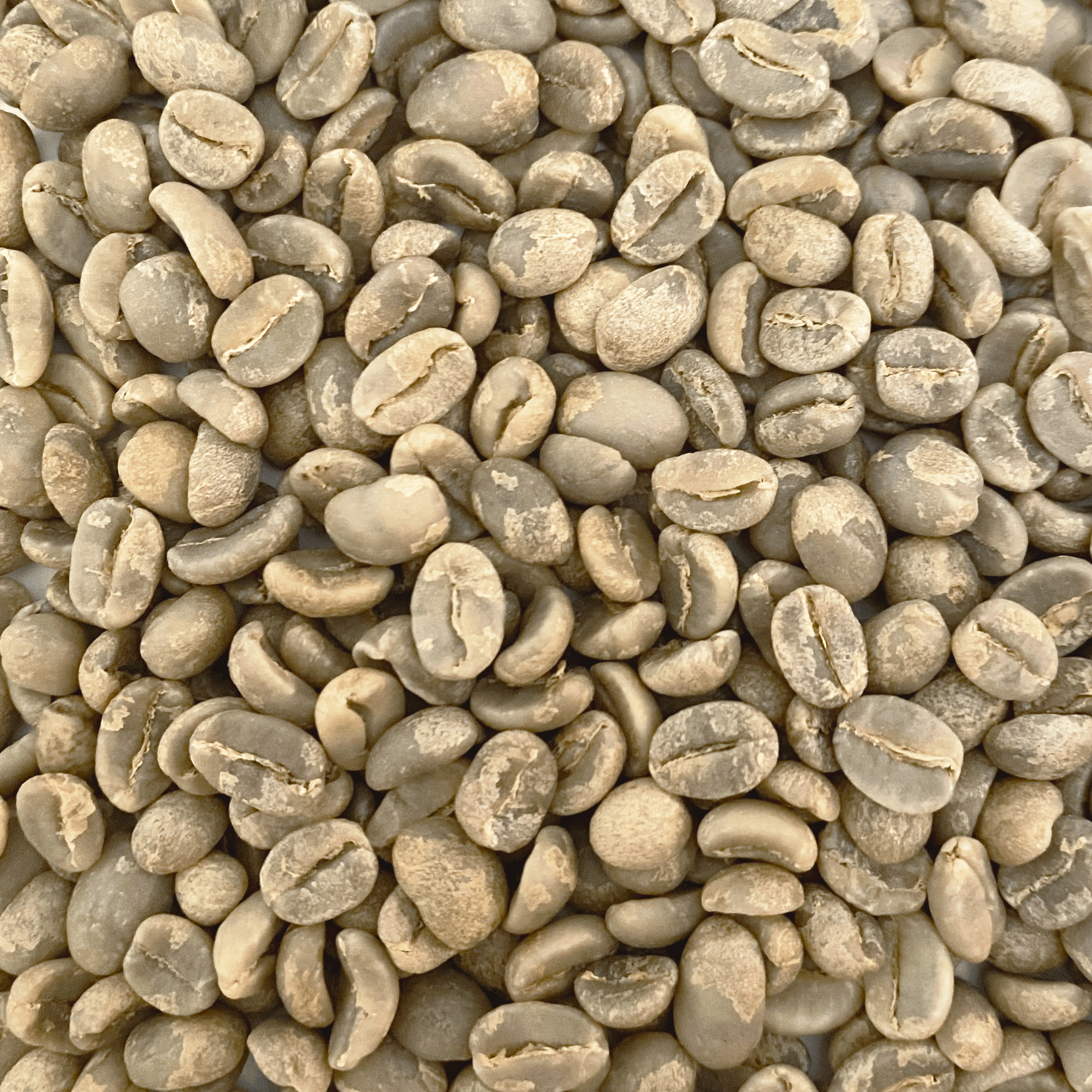 Rwanda Abakundakawa Rushashi FTO