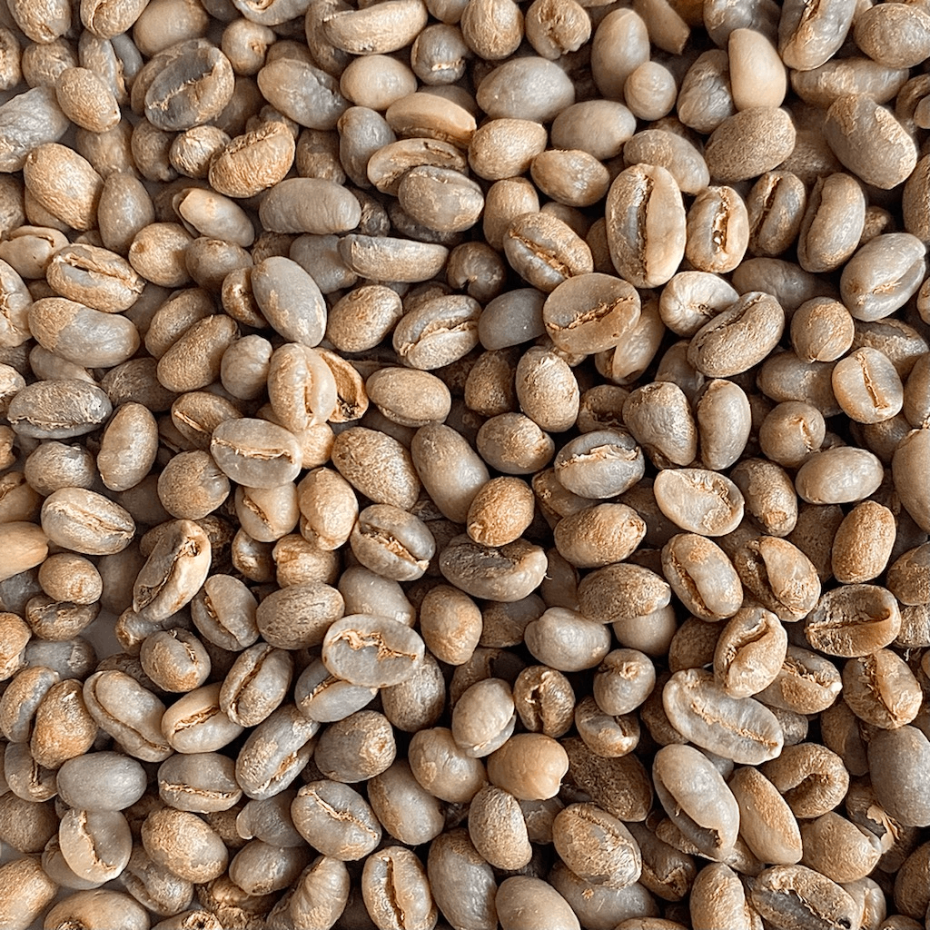 Timor FT Organic Peaberry
